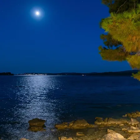 Beachvilla Adriastone With Pool And Jacuzzi オレビック